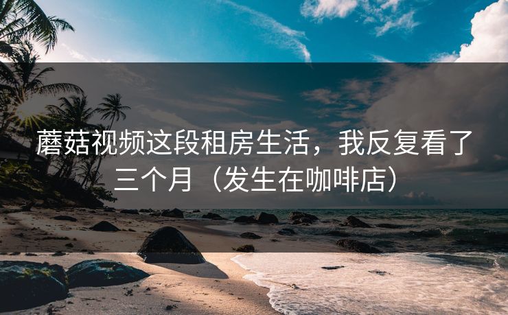 蘑菇视频这段租房生活，我反复看了三个月（发生在咖啡店）