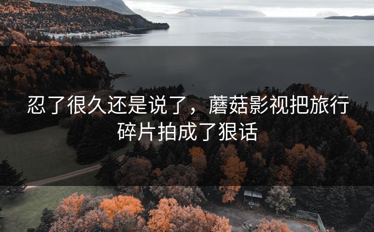 忍了很久还是说了，蘑菇影视把旅行碎片拍成了狠话