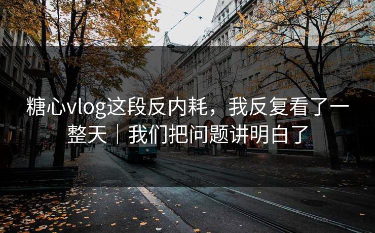 糖心vlog这段反内耗,我反复看了一整天|我们把问题讲明白了 糖心vlog这段反内耗,我反复看了一整天|我们把问题讲明白了