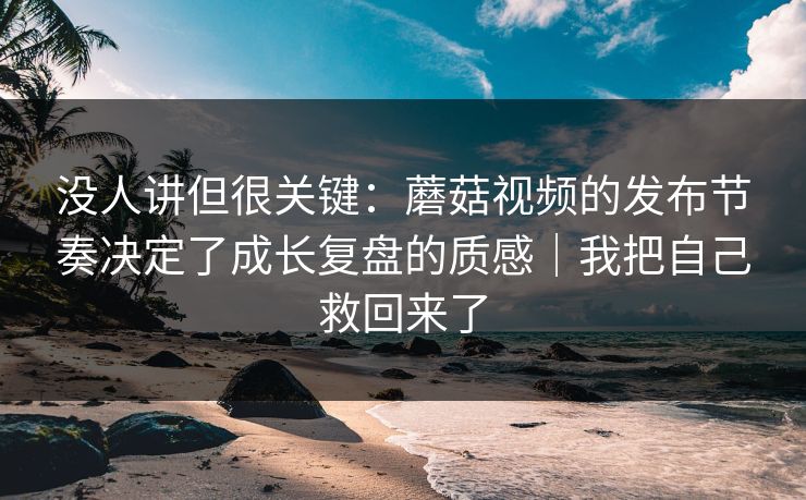 没人讲但很关键：蘑菇视频的发布节奏决定了成长复盘的质感｜我把自己救回来了