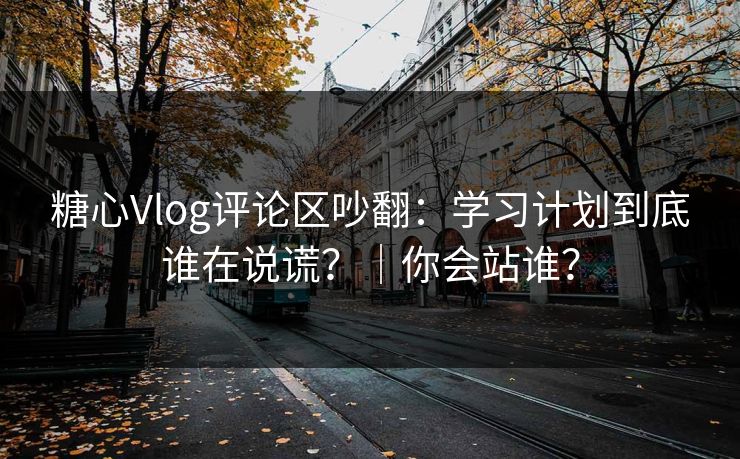 糖心Vlog评论区吵翻:学习计划到底谁在说谎?|你会站谁? 糖心Vlog评论区吵翻:学习计划到底谁在说谎?|你会站谁?