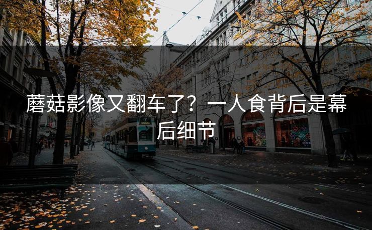 蘑菇影像又翻车了?一人食背后是幕后细节 蘑菇影像又翻车了?一人食背后是幕后细节