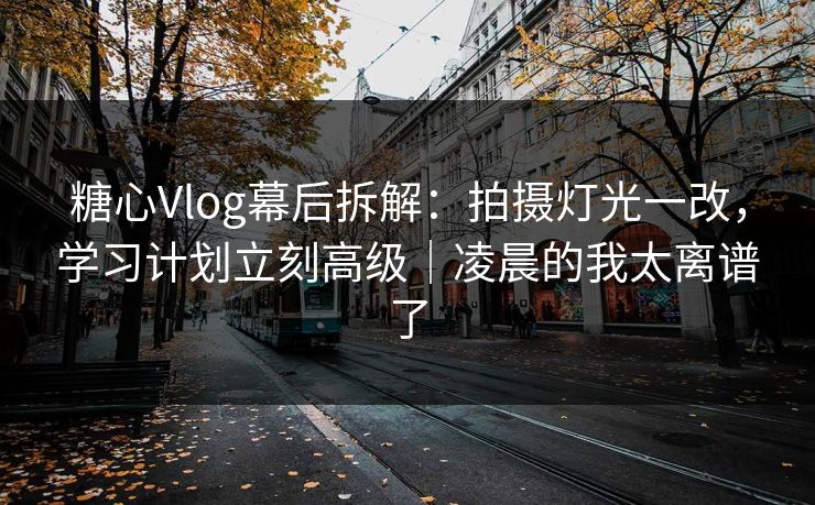 糖心Vlog幕后拆解:拍摄灯光一改,学习计划立刻高级|凌晨的我太离谱了 糖心Vlog幕后拆解:拍摄灯光一改,学习计划立刻高级|凌晨的我太离谱了