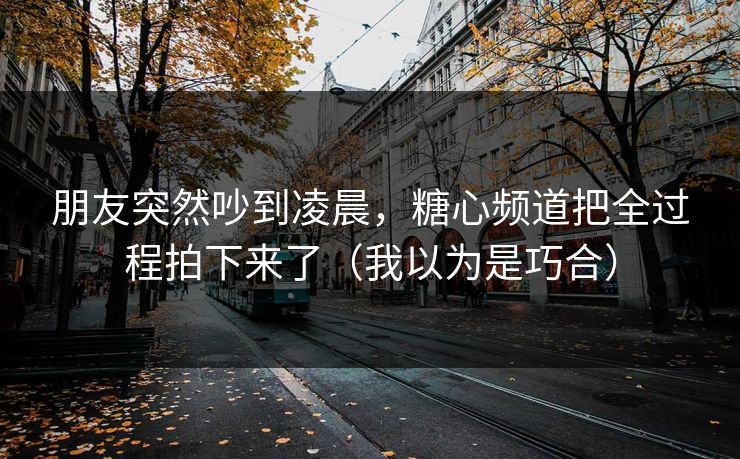 朋友突然吵到凌晨,糖心频道把全过程拍下来了(我以为是巧合) 朋友突然吵到凌晨,糖心频道把全过程拍下来了(我以为是巧合)