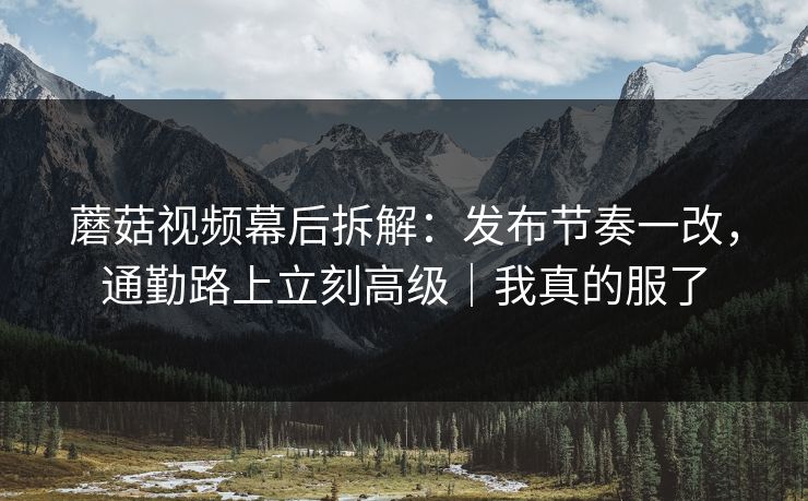蘑菇视频幕后拆解:发布节奏一改,通勤路上立刻高级|我真的服了 蘑菇视频幕后拆解:发布节奏一改,通勤路上立刻高级|我真的服了