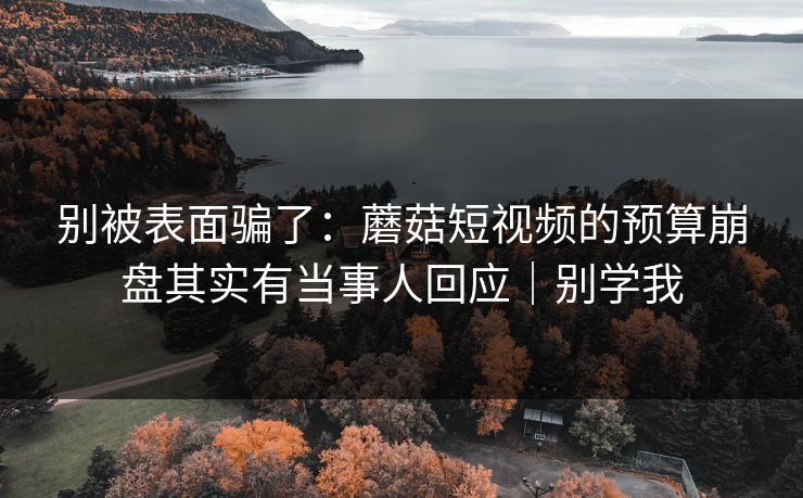 别被表面骗了:蘑菇短视频的预算崩盘其实有当事人回应|别学我 别被表面骗了:蘑菇短视频的预算崩盘其实有当事人回应|别学我