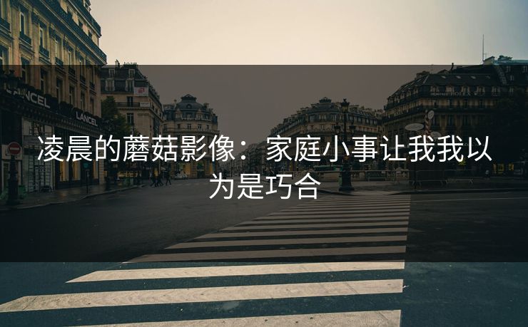 凌晨的蘑菇影像:家庭小事让我我以为是巧合 凌晨的蘑菇影像:家庭小事让我我以为是巧合